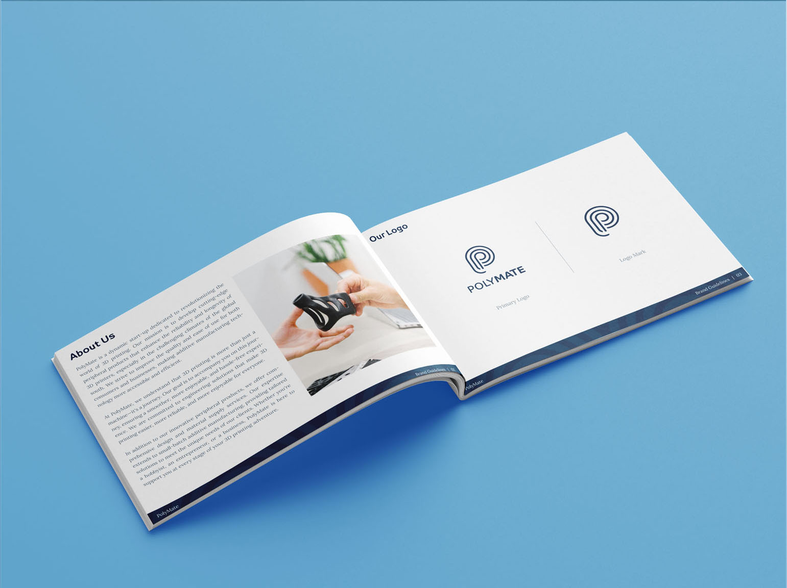 POLYMATE — 02 — Approach