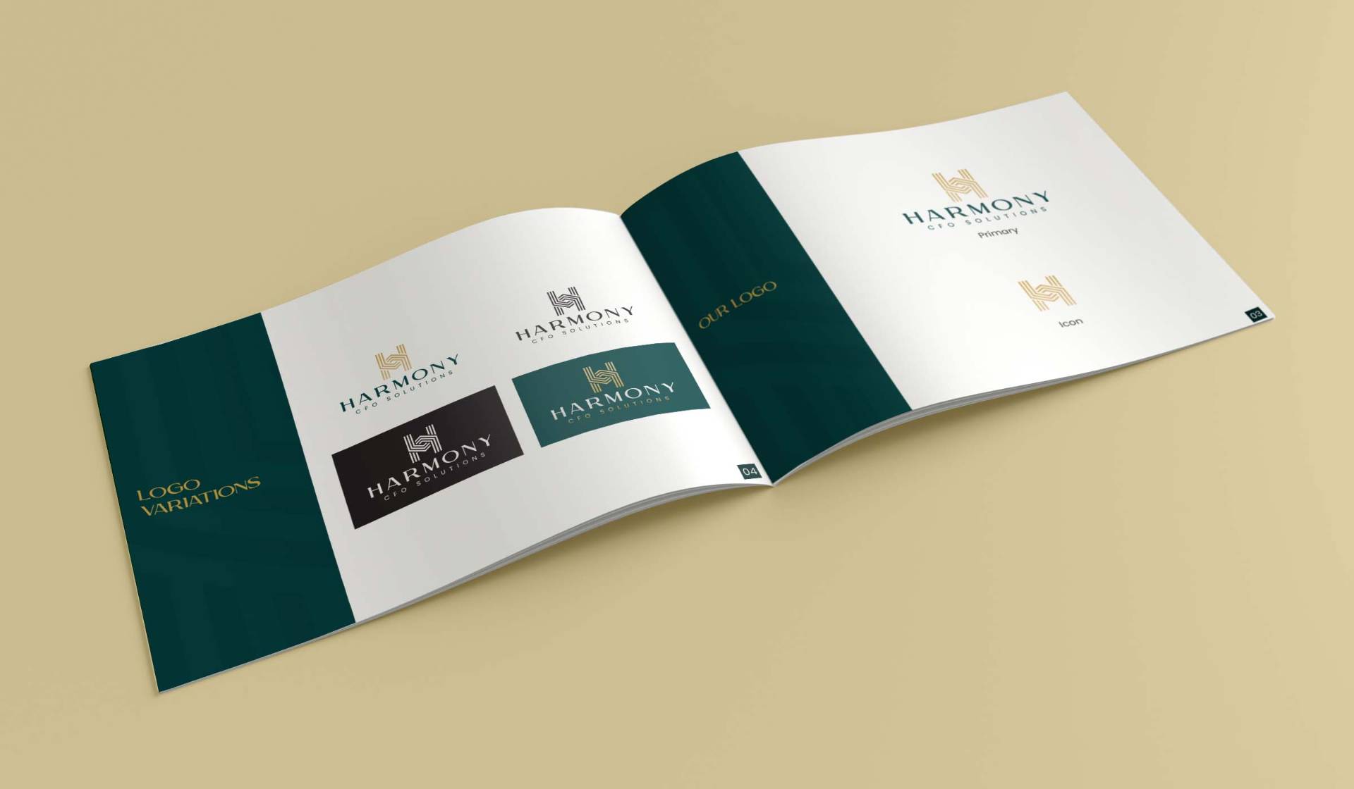 HARMONY CFO SOLUTIONS — 02 — Approach