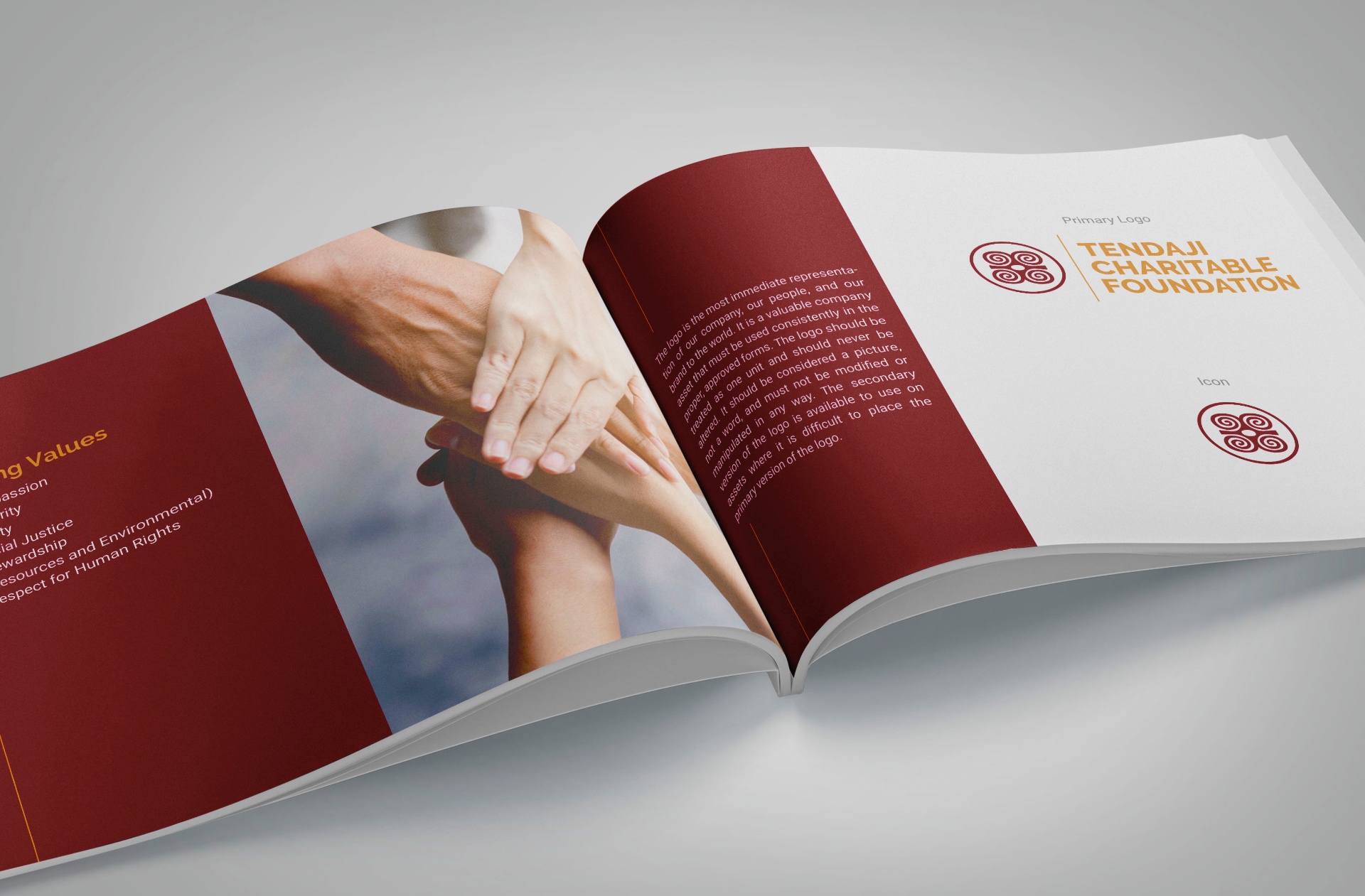 TENDAJI CHARITABLE FOUNDATION — 03 — Solution