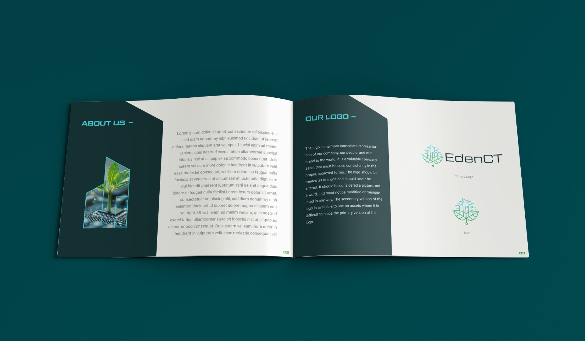 EdenCT Brand Identity
