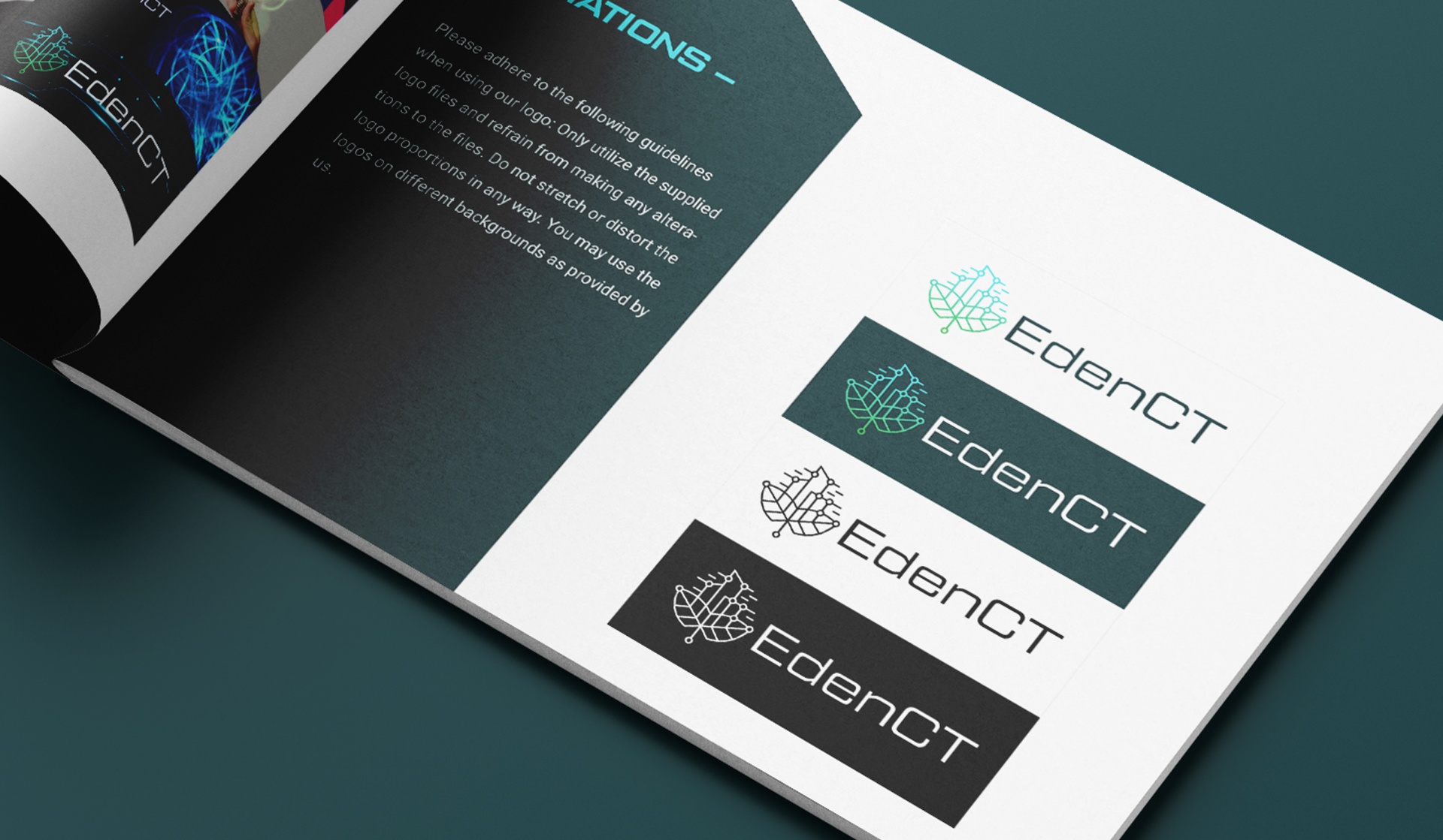 EdenCT Brand Identity