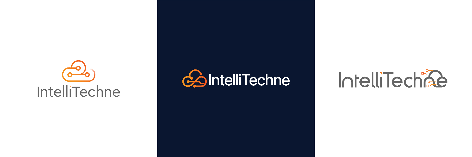 INTELLITECHNE — 02 — Approach